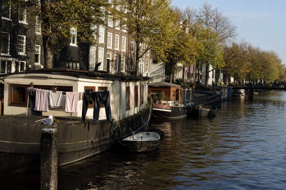 Houseboats moored along a wide Amsterdam canal with narrow gabled houses rising behind them, no text, no logos, no people
