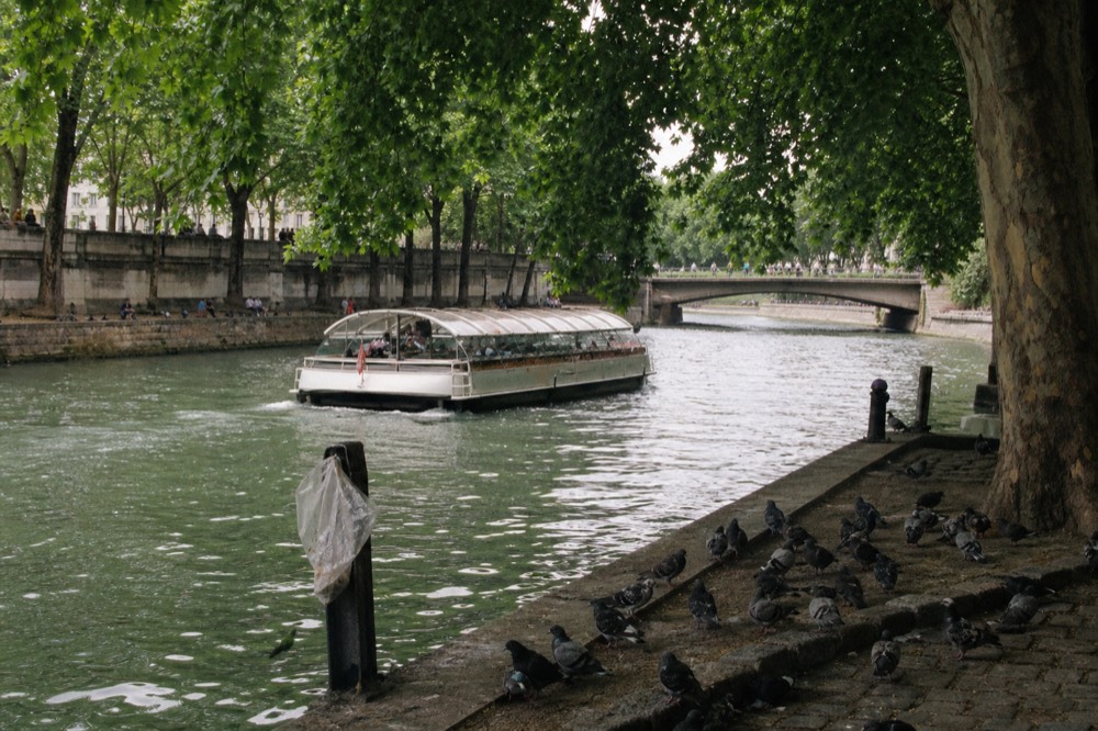 A covered canal cruise boat mid-water between tree-lined Amsterdam quays, no text, no logos, no people