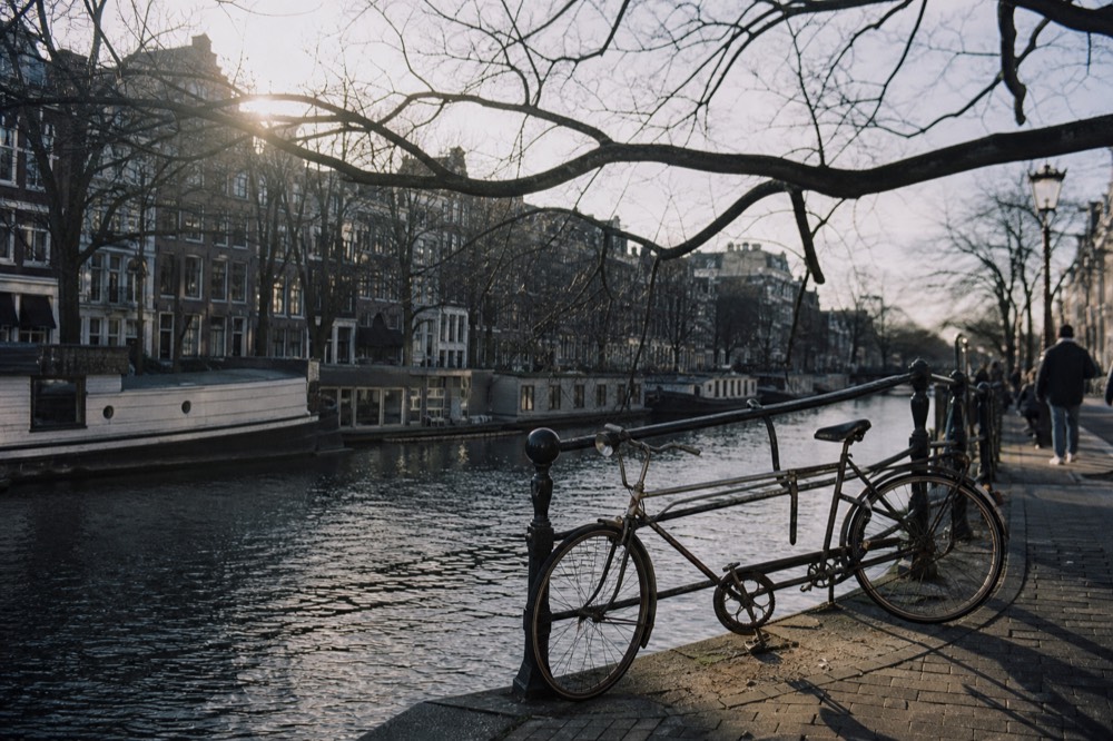 A tree-lined Amsterdam canal with houseboats moored along the quay, no text, no logos, no people