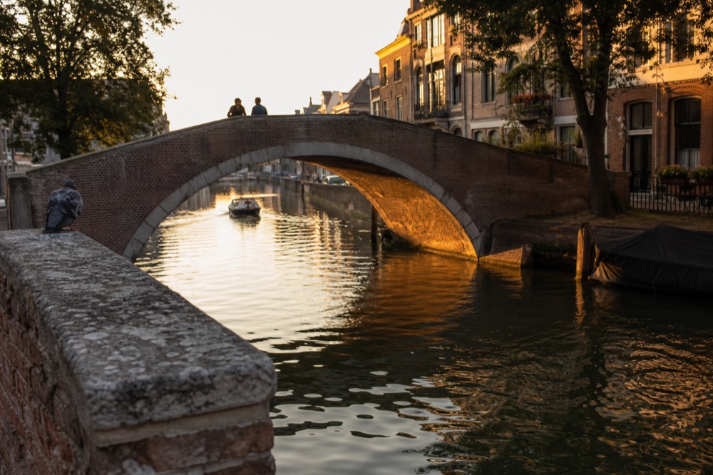 A classic Amsterdam humpback bridge spanning a canal at golden hour, no text, no logos, no people
