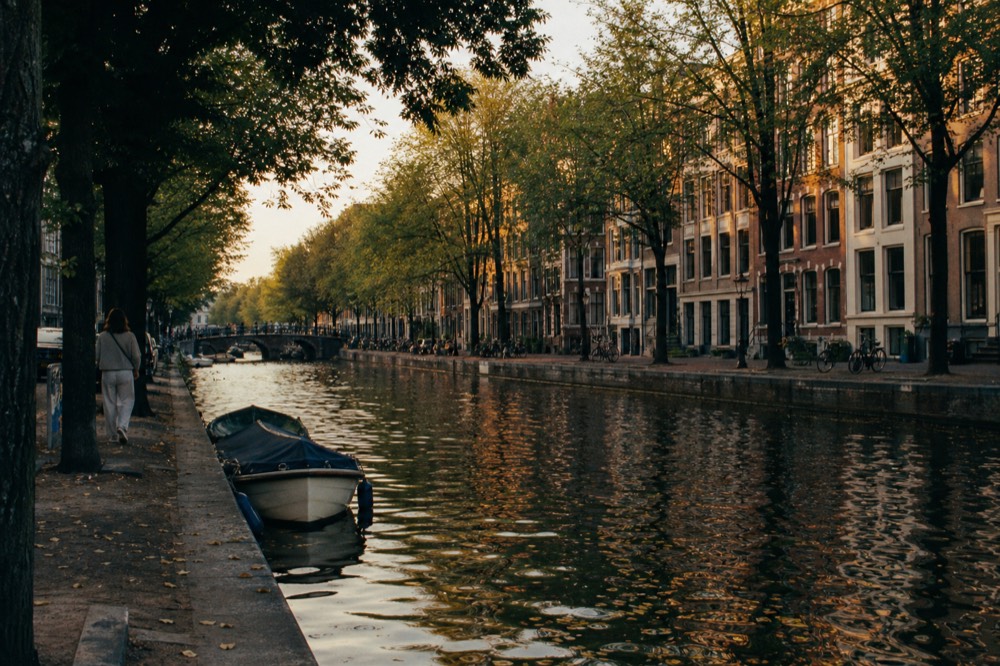 Evening light on a wide Amsterdam canal lined with trees and classic facades, no text, no logos, no people